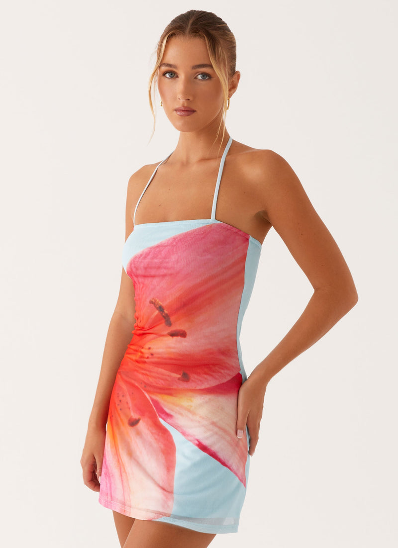 Everly Mesh Tie-Back Mini